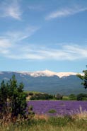 Mont Ventoux, Provence